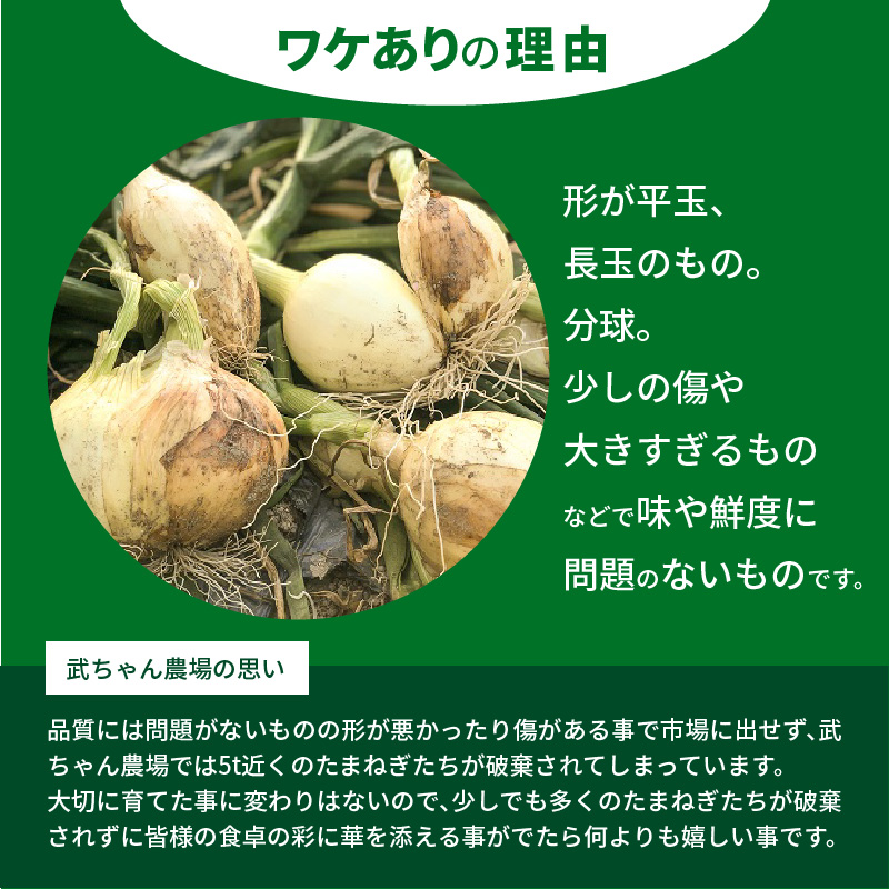 【食品ロス削減】（訳あり）笑顔で笑顔を作る武ちゃん農場の新玉ねぎ“玉笑ちゃん” 9個　H095-030