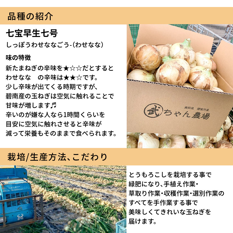 【食品ロス削減】（訳あり）笑顔で笑顔を作る武ちゃん農場の新玉ねぎ“玉笑ちゃん” 9個　H095-030