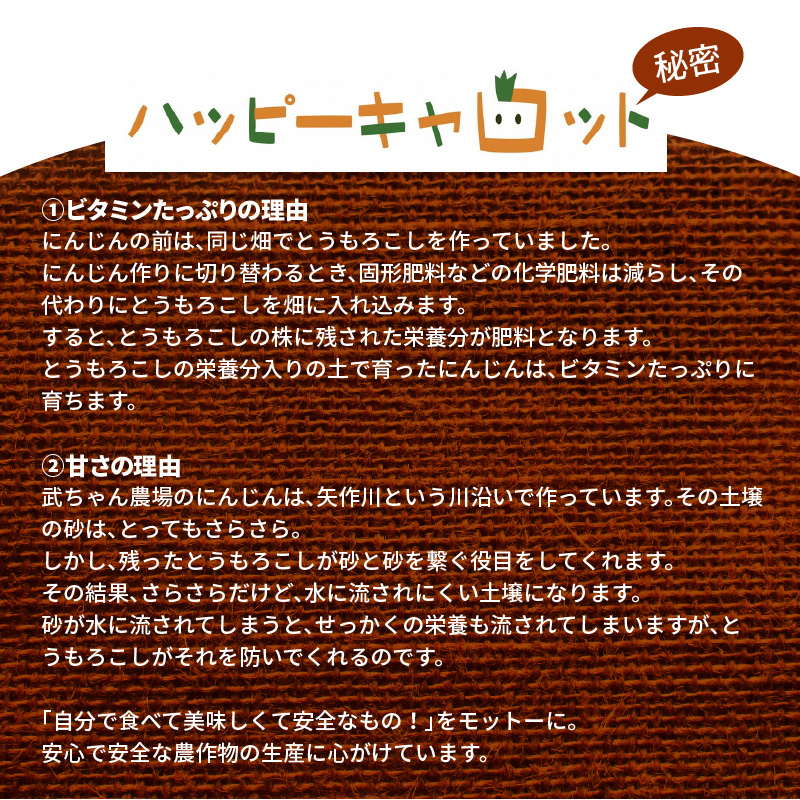 甘さと栄養で体も笑う武ちゃん農場の“ハッピーキャロット 4kg　H095-021