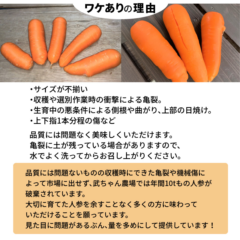 【食品ロス削減】（ 訳あり ）甘さと栄養で体も笑う武ちゃん農場の“ハッピーキャロット” 5kg　H095-022