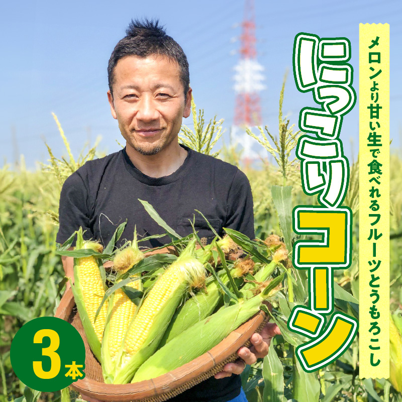 【2025年発送】朝採り直送 メロンより甘い 生とうもろこし“にっこりコーン” 3本 H095-028