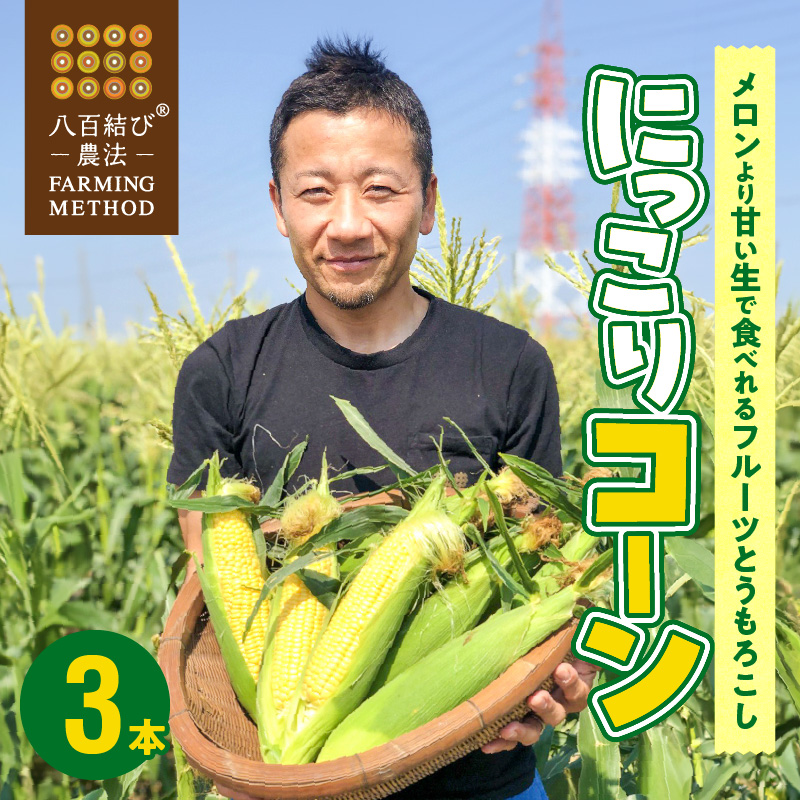 【2025年発送】朝採り直送 メロンより甘い 生とうもろこし“にっこりコーン” 3本 H095-028