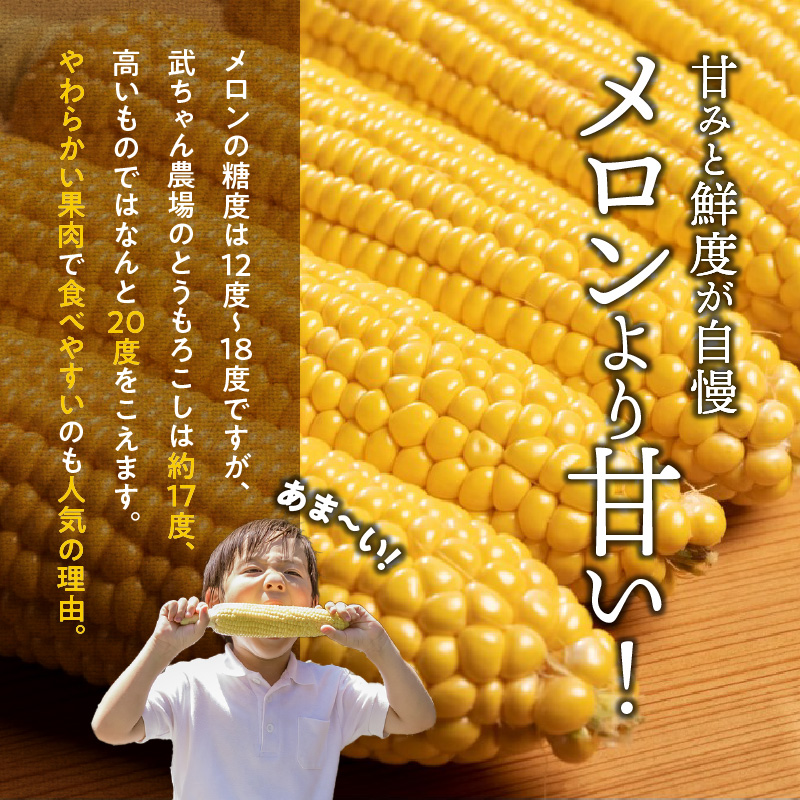 【2025年発送】朝採り直送 メロンより甘い 生とうもろこし“にっこりコーン” 3本 H095-028