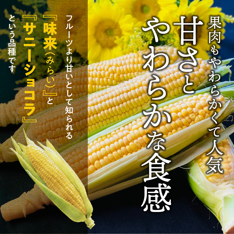 【2025年発送】朝採り直送 メロンより甘い 生とうもろこし“にっこりコーン” 3本 H095-028