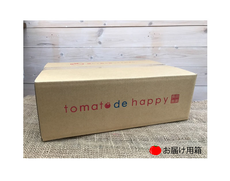 【4月～6月の定期便】たっぷり約2kg×3回！ 人気No.1トマトベリーの定期便 野菜ソムリエサミット 金賞 受賞 長田農園 産地直送 トマト とまと 野菜 やさい フルーツ サラダ 濃厚 甘い ご褒美 プレゼント 美容 健康 リピート多数 人気 高評価 数量限定 碧南市 H004-131