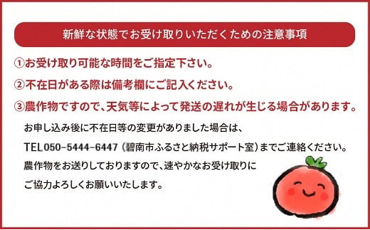 【数量限定】たっぷり約2kg×3回！ 人気No.1トマトベリーの定期便（4月～6月毎月お届け3回コース）　H004-131