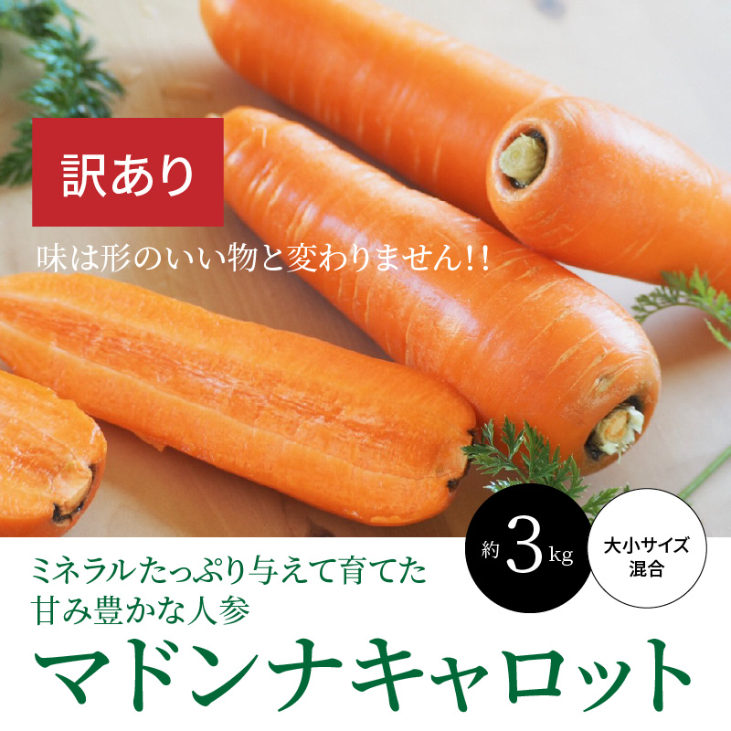 ＜フジテレビ『どっちのふるさと？』で紹介されました！＞ 【期間限定】訳あり！こどもも食べられる甘み！「マドンナキャロット」 3kg にんじん 人参 ニンジン 野菜 やさい 国産 碧南市 健康 食品ロス削減 甘い 先行予約 旬 特産 高評価 高リピート 人気 H105-155