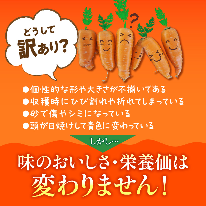 ＜フジテレビ『どっちのふるさと？』で紹介されました！＞ 【期間限定】訳あり！こどもも食べられる甘み！「マドンナキャロット」 3kg にんじん 人参 ニンジン 野菜 やさい 国産 碧南市 健康 食品ロス削減 甘い 先行予約 旬 特産 高評価 高リピート 人気 H105-155