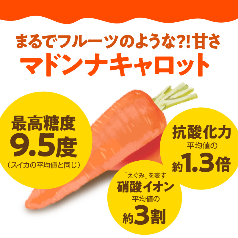 ＜フジテレビ『どっちのふるさと？』で紹介されました！＞ 訳あり 冬期限定 にんじん マドンナキャロット 容量 3kg 先行予約 国産 甘い フルーツのような味わい お子様にもおすすめ 栄養 神重農産 野菜 愛知県 碧南市 送料無料 H105-155