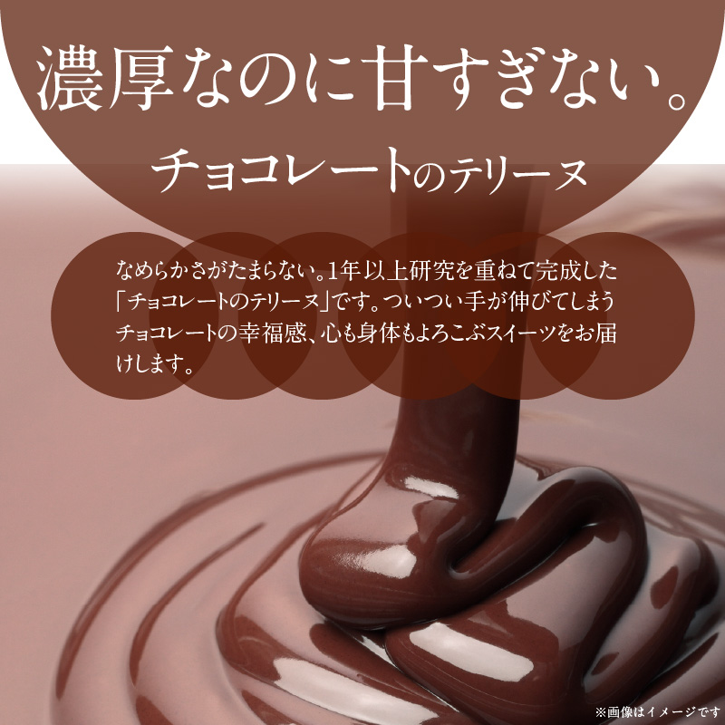 【テリーヌ専門店L】（約２００g）濃厚チョコレートのテリーヌ【グルテンフリー・保存料不使用】ショコラ スイーツ チョコレート H173-042