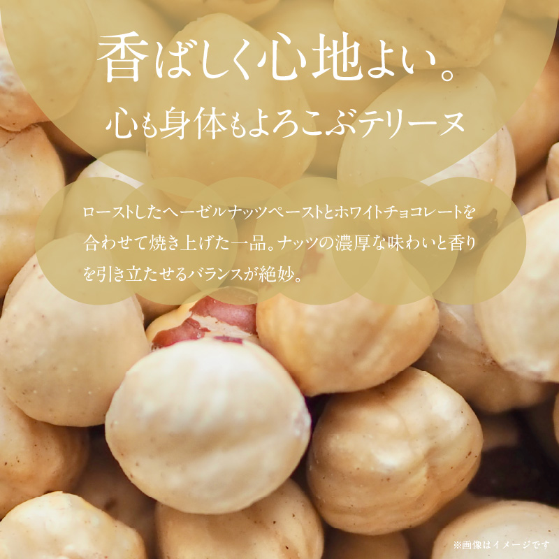 【テリーヌ専門店L】（約６００g） ローストヘーゼルナッツのテリーヌ【グルテンフリー・保存料不使用】ショコラ スイーツ チョコレート H173-047