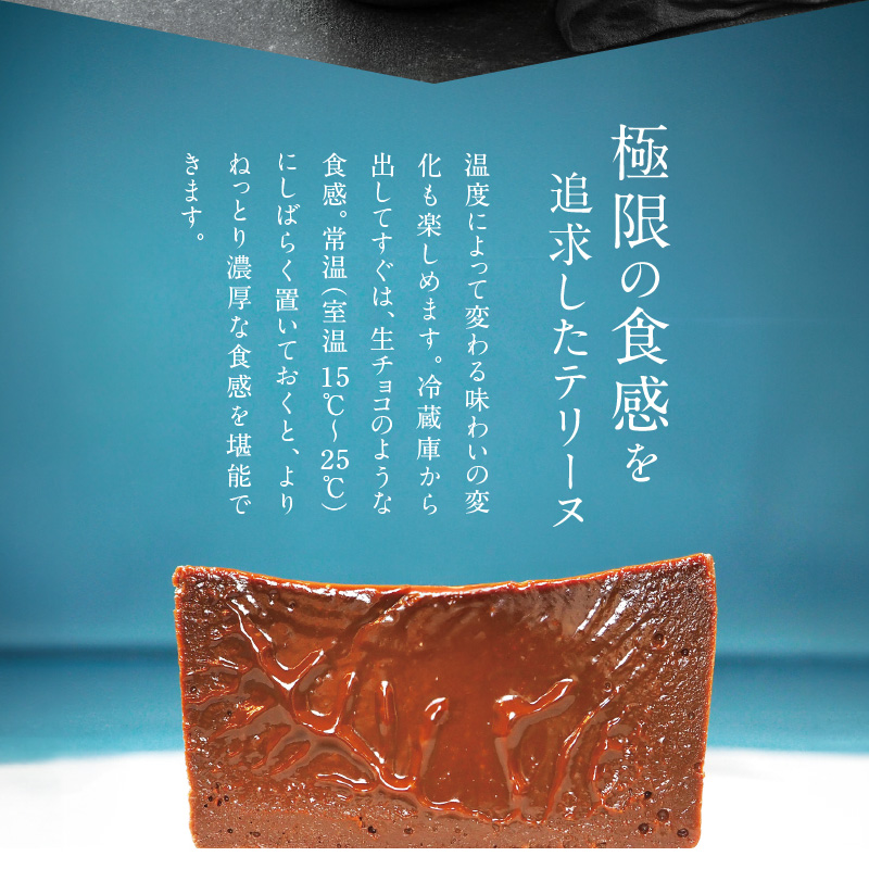 【テリーヌ専門店L】（約２００g）濃厚チョコレートのテリーヌ【グルテンフリー・保存料不使用】ショコラ スイーツ チョコレート H173-042