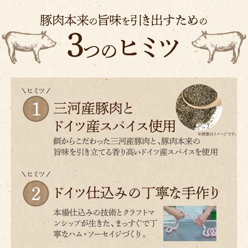 【国際品評会で金賞受賞！】ポークジャーキー 75g×3袋　国産豚肉100％ 三河産豚肉 IFFA金賞 シュヴァインハイム 晩酌 おつまみ お酒のお供 肉 加工肉 おすすめ H003-045