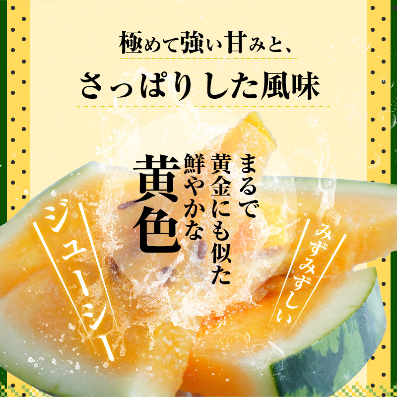 【2025年発送】甘さを追求したすいか「金色羅皇」1玉 すいか 甘い すいか1玉 果物 フルーツ　H141-014