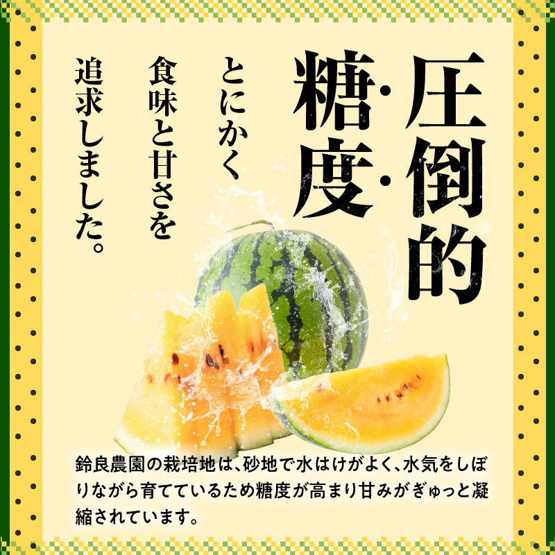 【2025年発送】甘さを追求したすいか「金色羅皇」1玉 すいか 甘い すいか1玉 果物 フルーツ　H141-014