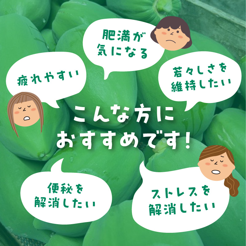 【期間限定】栄養の宝庫 青パパイヤ 約3kg スーパーフード 酵素 美容 健康 エックスファーム H164-010