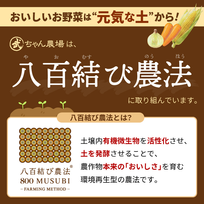 【2026年発送】【食品ロス削減】（訳あり）笑顔で笑顔を作る武ちゃん農場の新玉ねぎ“玉笑ちゃん” 9個　H095-030