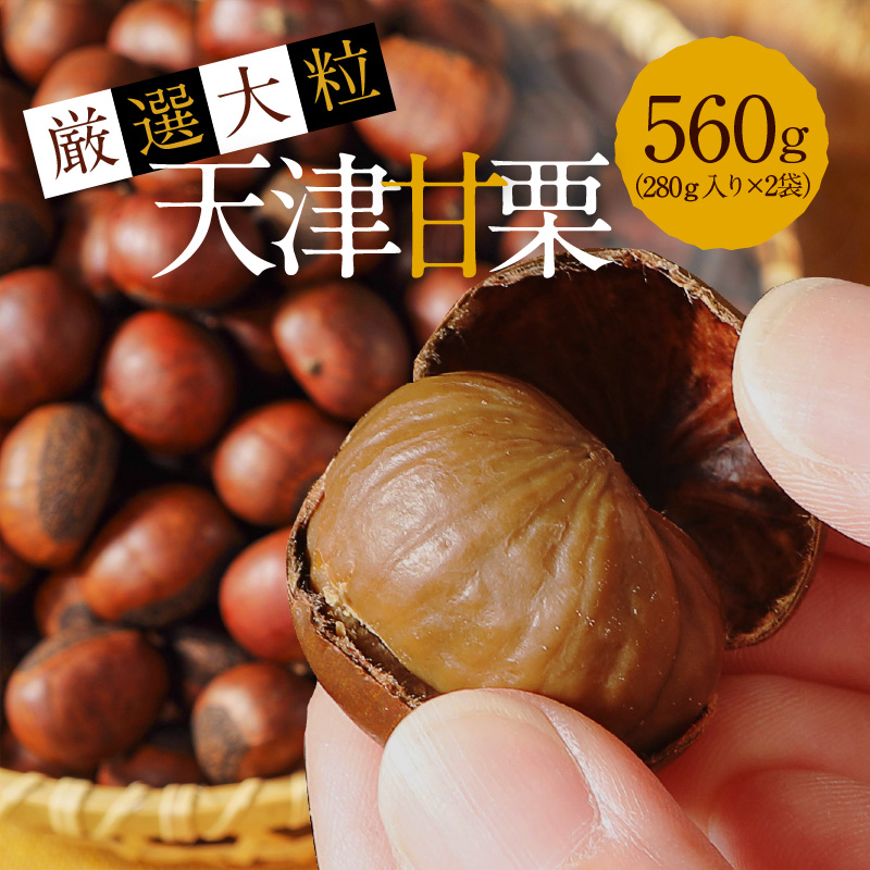 この道50年の職人が焼く、やさしい甘みたっぷりの「厳選大粒」天津甘栗560g！焼きたて 栗 くり 栗爪 殻付き お菓子 おつまみ 人気 高リピート 小分け 栗ご飯 栗きんとん 甘露煮 H045-064