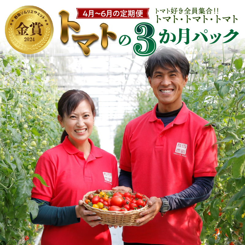 【4月～6月の定期便】トマト好き全員集合 トマト・トマト・トマト3か月お届けパック 野菜ソムリエサミット 金賞 受賞 長田農園 産地直送 トマト とまと 野菜 やさい フルーツ サラダ 濃厚 甘い ご褒美 プレゼント 美容 健康 リピート多数 人気 高評価 数量限定 碧南市　H004-173
