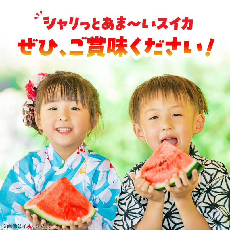 【2026年発送】深く甘いコク感と強いシャリ感「羅皇ザスウィート」1玉 すいか 甘い すいか1玉 果物 フルーツ　H141-015