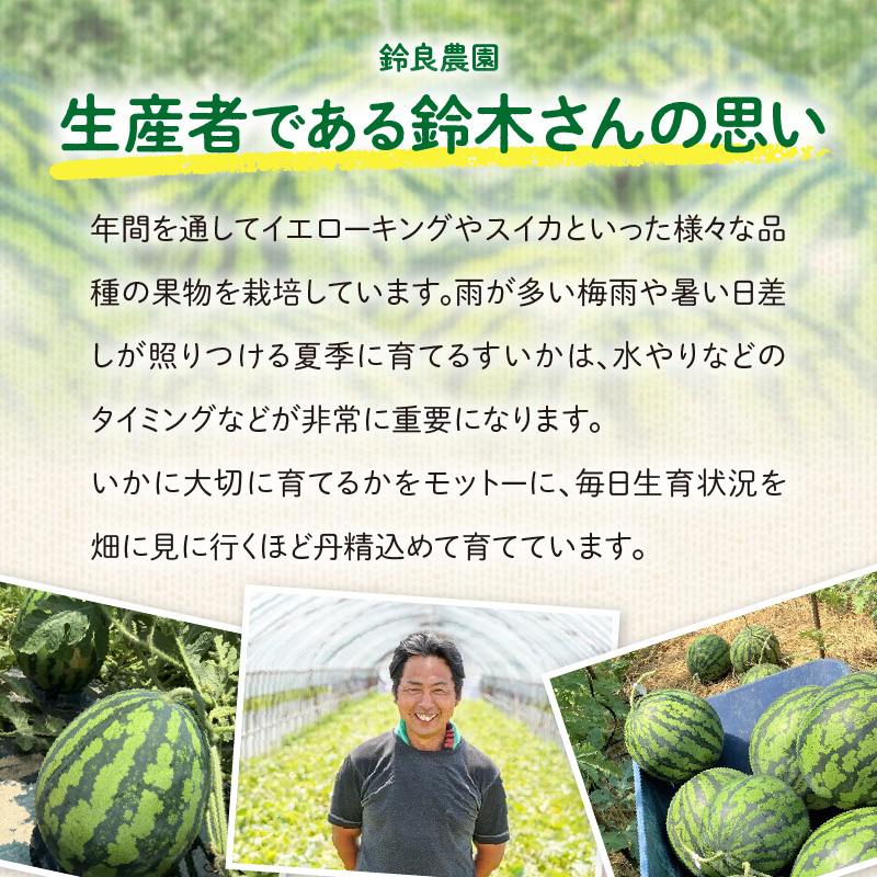 【2026年発送】深く甘いコク感と強いシャリ感「羅皇ザスウィート」1玉 すいか 甘い すいか1玉 果物 フルーツ　H141-015