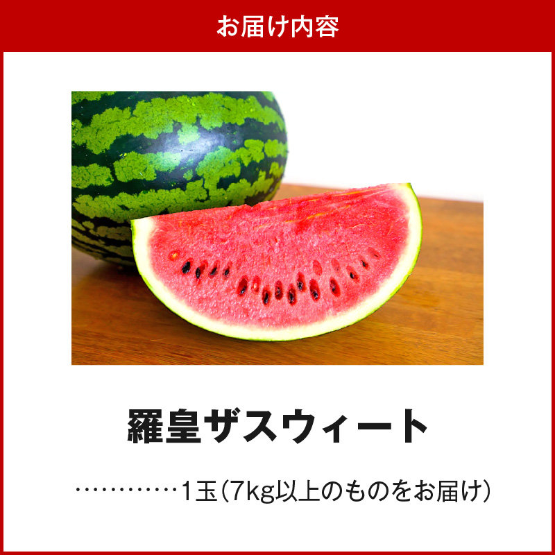 【2026年発送】深く甘いコク感と強いシャリ感「羅皇ザスウィート」1玉 すいか 甘い すいか1玉 果物 フルーツ　H141-015