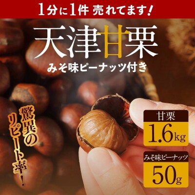 この道45年の職人が焼く、やさしい甘みたっっっぷり！「天津甘栗」1.6kg　H045-052