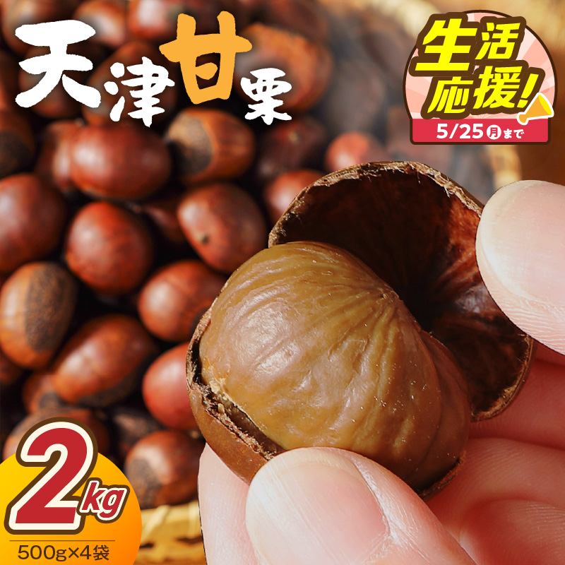 【特別容量 1.6kg⇒2kg】 （ 生活応援 ） この道50年の職人が焼く、やさしい甘みたっっっぷり！「天津甘栗」 2kg 焼きたて 栗 くり 栗爪 殻付き お菓子 おつまみ 人気 高リピート 小分け 栗ご飯 栗きんとん 甘露煮 選べる 発送月 感謝を込めて 碧南市 H045-107