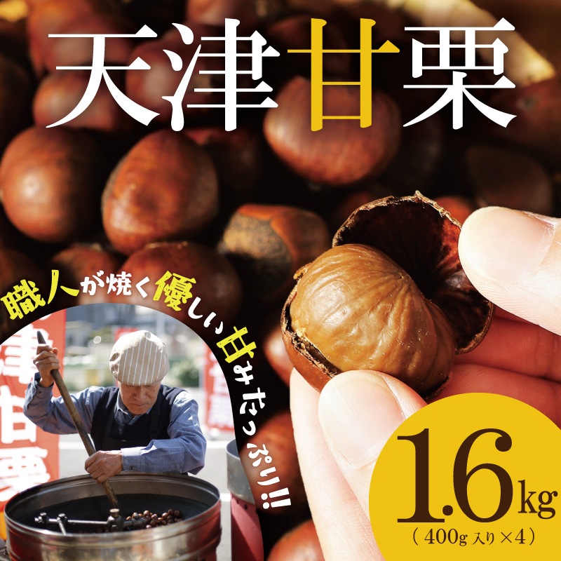 この道50年の職人が焼く、やさしい甘みたっっっぷり！「天津甘栗」 1.6kg 焼きたて 栗 くり 栗爪 殻付き お菓子 おつまみ 人気 高リピート 小分け 栗ご飯 栗きんとん 甘露煮 碧南市 H045-082
