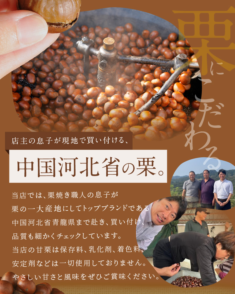 この道50年の職人が焼く、やさしい甘みたっっっぷり！「天津甘栗」 1.6kg 焼きたて 栗 くり 栗爪 殻付き お菓子 おつまみ 人気 高リピート 小分け 栗ご飯 栗きんとん 甘露煮 碧南市 H045-082