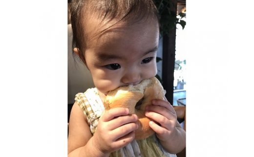 1度食べたらトリコ♪「わっぱ堂」の国産小麦100%！！ふわもちベーグルセット　H049-031