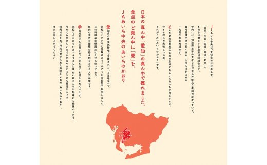 愛知県産　あいちのかおり10kg　H017-099