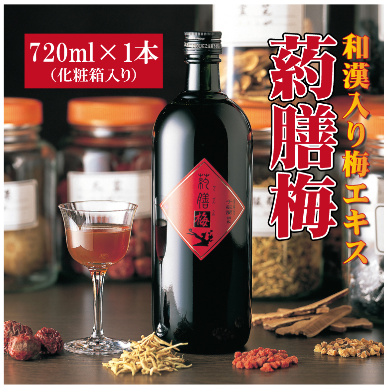 和漢入り梅エキス　葯膳梅　H001-063