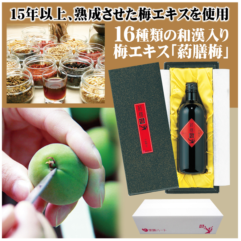 和漢入り梅エキス　葯膳梅　H001-063