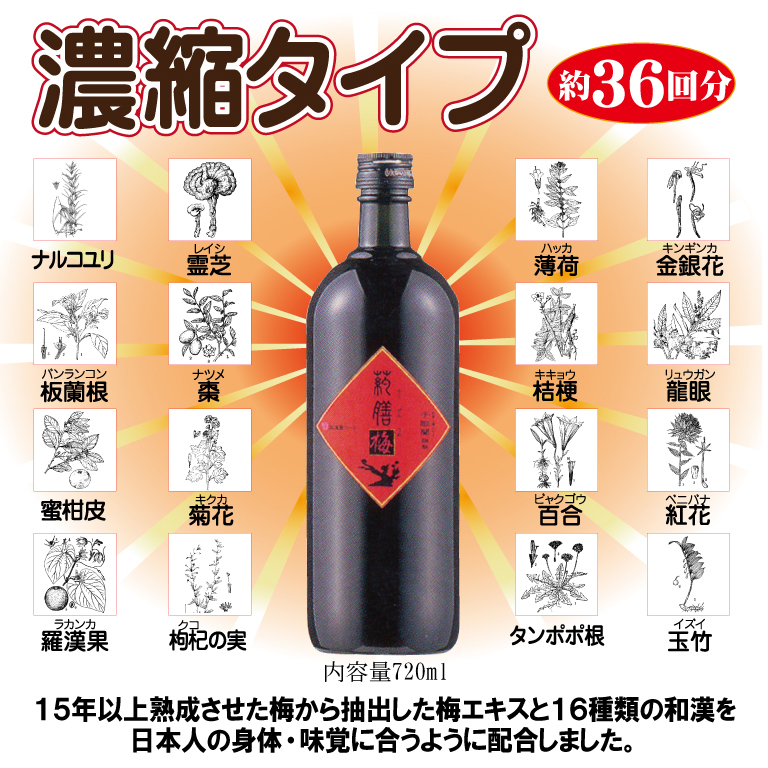 和漢入り梅エキス　葯膳梅　H001-063