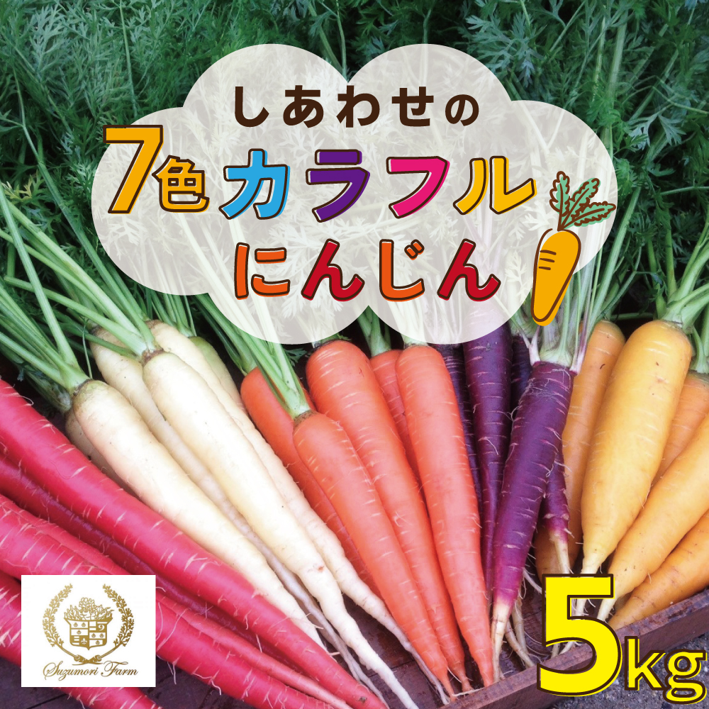 【期間限定】 冬の寒さでぎゅっと濃い！虹色のカラフルにんじん 鈴盛農園 農家直送 甘い スーパーフード 健康 自慢 ジュース サラダ ギフト 贈り物 βカロテン ポリフェノール リコピン ジューシー H022-012