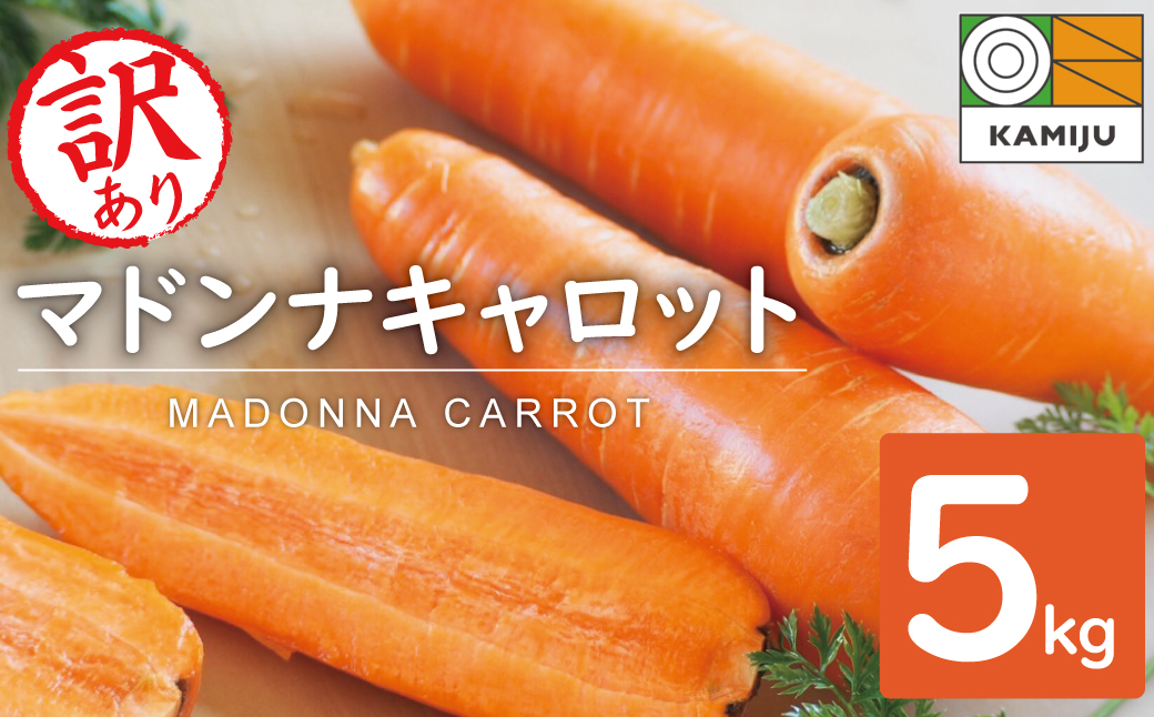 ＜フジテレビ『どっちのふるさと？』で紹介されました！＞ 訳あり 冬期限定 にんじん マドンナキャロット 容量 5kg 先行予約 国産 甘い フルーツのような味わい お子様にもおすすめ 栄養 神重農産 野菜 愛知県 碧南市 送料無料 H105-145