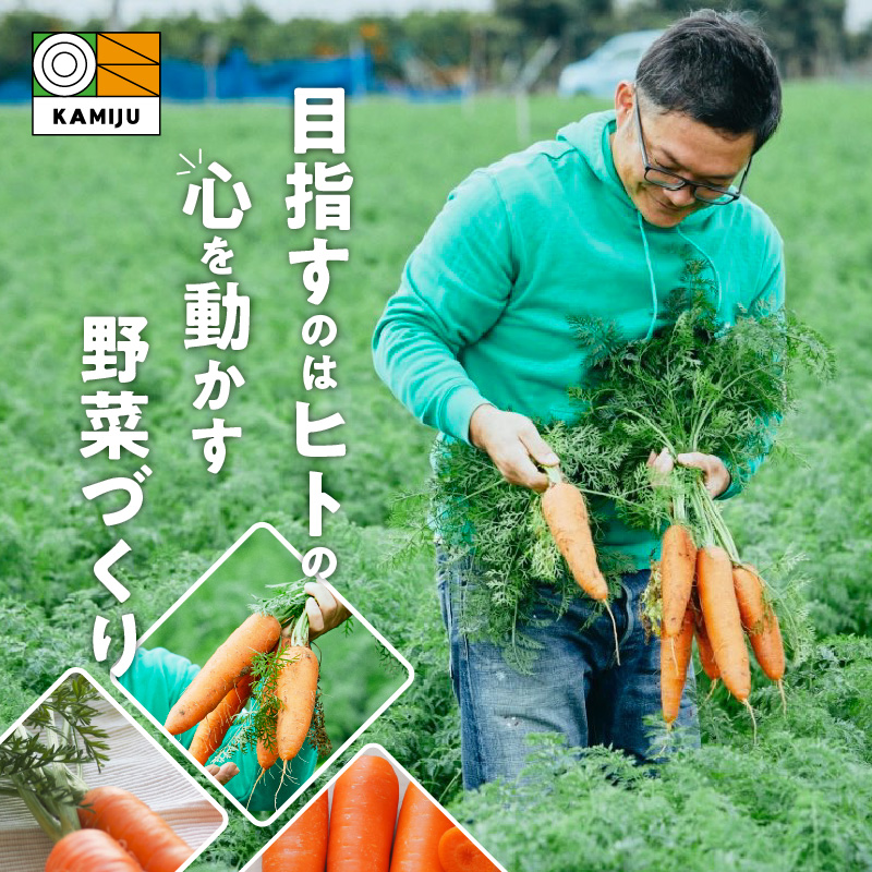 【予約受付】＜フジテレビ『どっちのふるさと？』で紹介されました！＞ 訳あり 冬期限定 にんじん マドンナキャロット 容量 5kg 先行予約 国産 甘い フルーツのような味わい お子様にもおすすめ 栄養 神重農産 野菜 愛知県 碧南市 送料無料 H105-199