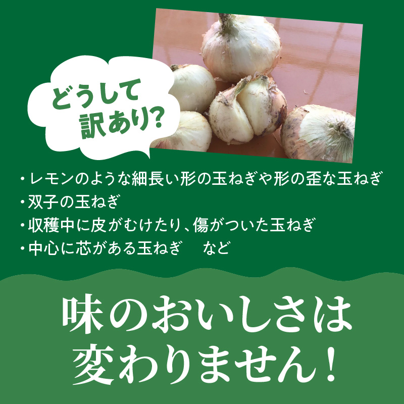 【数量限定】訳あり 新玉ねぎ　生がおいしい 神重農産のブランド玉ねぎ「旬玉」3kg　ブランド玉ねぎ 玉ねぎ 国産 愛知県産 野菜 やさい 農家直送 畑直送 旬 期間限定 たまねぎ 先行予約 旬 特産 高評価 高リピート 人気 H105-114