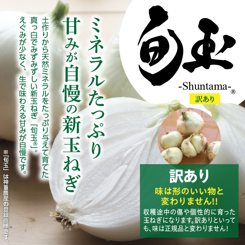 【数量限定】訳あり 新玉ねぎ 生がおいしい 神重農産のブランド玉ねぎ「旬玉」2.5kg ブランド玉ねぎ 玉ねぎ 国産 愛知県産 野菜 やさい 農家直送 畑直送 旬 期間限定 たまねぎ 先行予約 旬 特産 高評価 高リピート 人気 H105-152