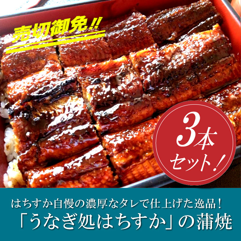 【12月24日受付分まで年内発送】三河一色産 鰻の蒲焼き 3尾 計540g以上 うなぎ処はちすか 国産 日本料理 うなぎ 蒲焼 白焼 真空 冷蔵 大きい 白だし かつおぶし 出汁 うな丼 うな重 ひつまぶし　H026-031