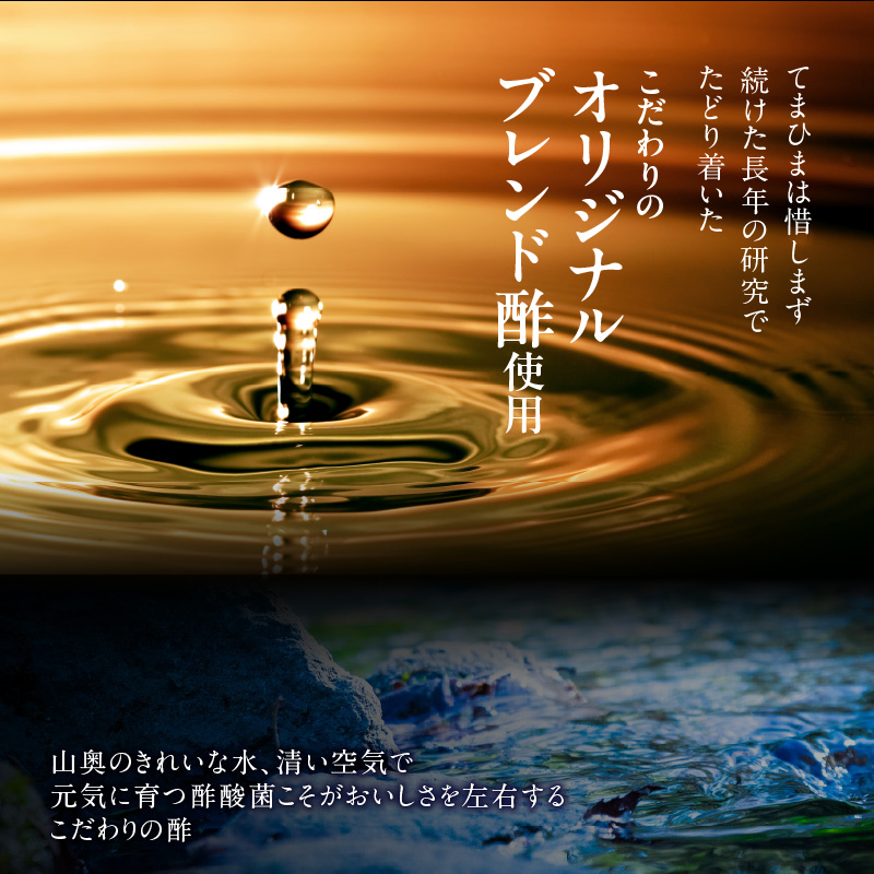 酢〆専門店のこだわり定期便 7種×隔月3回　H021-081