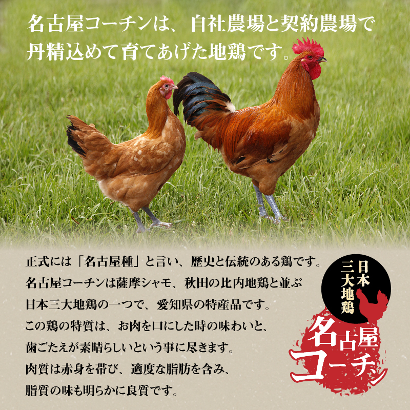 【12月21日受付分まで年内発送】元祖白だし濃厚スープ　名古屋コーチン水炊き鍋（3～4人前）　H001-070