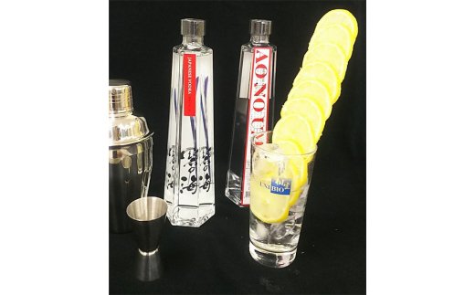 【12月21日受付分まで年内発送】国産ウォッカ『碧の海』500ml瓶×２本 純国産 アルコール 酒 蒸留酒 スピリッツ ウォッカ ストレート ショット カクテル 沖縄 サトウキビ 白樺炭 H044-023