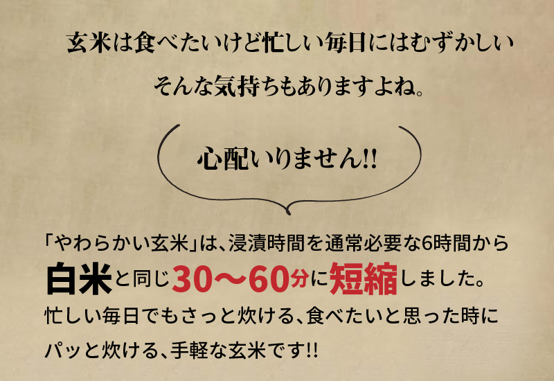 やわらかい玄米 900g×4袋　※定期便6回　H074-594