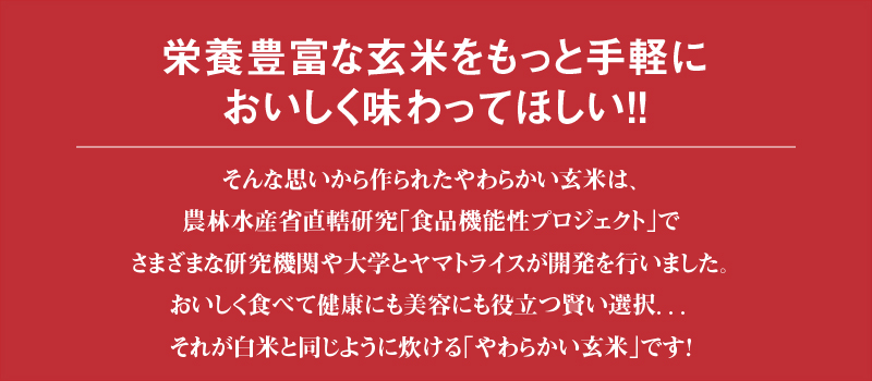 やわらかい玄米 900g×4袋　※定期便12回　小分け 米 こめ コメ ごはん 栄養豊富 簡単 便利 美容 健康 新食感 もちもち 安心安全なヤマトライス H074-705