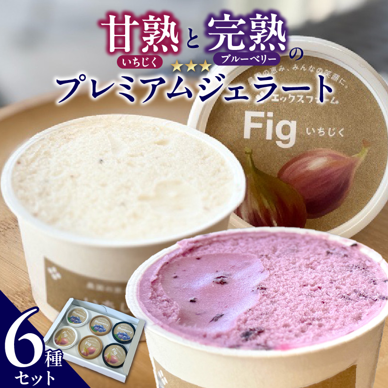 甘熟いちじくとブルーベリーのプレミアムジェラートセット 各1個 碧南市産 甘熟 いちじく 完熟 ブルーベリー 贅沢 スイーツ デザート おやつ カップ 6種 食べ比べ チーズ ミルク ヨーグルト H164-012