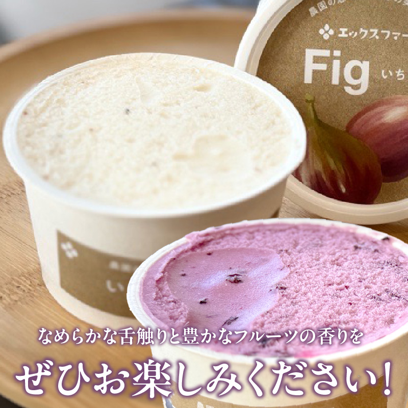 甘熟いちじくとブルーベリーのプレミアムジェラートセット 各1個 碧南市産 甘熟 いちじく 完熟 ブルーベリー 贅沢 スイーツ デザート おやつ カップ 6種 食べ比べ チーズ ミルク ヨーグルト H164-012