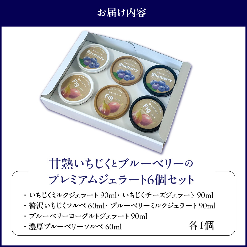 甘熟いちじくとブルーベリーのプレミアムジェラートセット 各1個 碧南市産 甘熟 いちじく 完熟 ブルーベリー 贅沢 スイーツ デザート おやつ カップ 6種 食べ比べ チーズ ミルク ヨーグルト H164-012