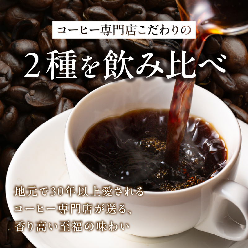 【飲み比べセット】ホット専用 コーヒー豆400g（200g×2種） ～お家で楽しむ自家焙煎の香り高いコーヒー～ H163-029